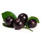 Dr.Bassleer Biofish Food acai M 150gr 0.6mm: pour poissons jusqu’à 6cm (flotte au début)