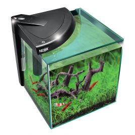 NeWa More® caridinae aquarium NM0 20 CRNE noir 