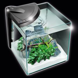 NeWa More® aquarium NM0 30 noir