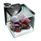 NeWa More® reef aquarium NM0 30RW noir 270,20 €