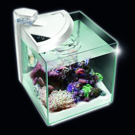NeWa More® reef aquarium NM0 30RW blanc