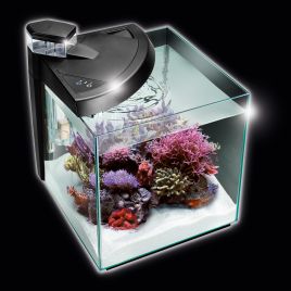 NeWa More® reef aquarium NM0 30RW noir