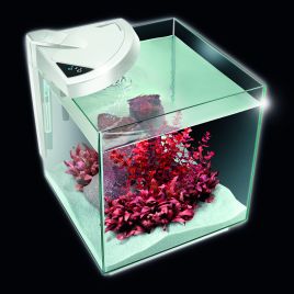 NeWa More® reef aquarium NM0 50RW blanc