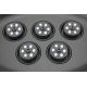Oase Water Starlet 288,00 €