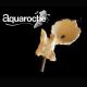 Aquaroches Coupelle pour corail - 9771 environ 11 cm 9,60 €