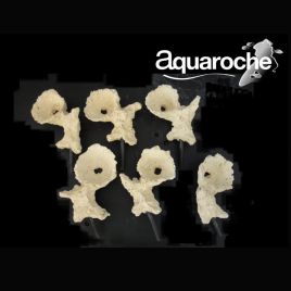 Aquaroches Assortiment de 6 coupelles 9776 Unité: environ 11 cm