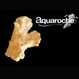 Aquaroches Branche 9772 - "Y" 12 cm 17,90 €