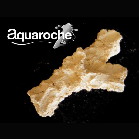 Aquaroches Branche 9773 18cm 19,90 €