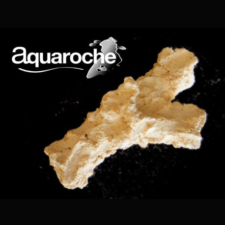 Aquaroches Branche 9773 18cm 20,60 €