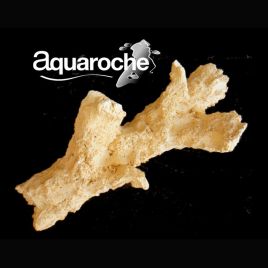 Aquaroches Branche 9774 25cm 33,30 €