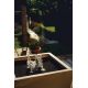 Oase LunaLed 6s Éclairage du rocher-source 62,10 €