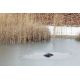 Oase IceFree 4 Seasons 58,50 €