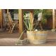 Oase Filtral UVC 6000 Oase Oase Filtres immergés  189,95 € -10%