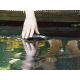 Oase AquaSkim 40 90,00 €