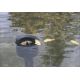 Oase AquaSkim Gravity 70,20 €