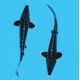 Esturgeon Beluga-Huso Huso* 30-40 cm  Esturgeons 59,50 €