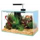 Zolux aquarium kit Aqua Clear 40 (400 x 200 x 330 mm) 17 litres 83,50 €