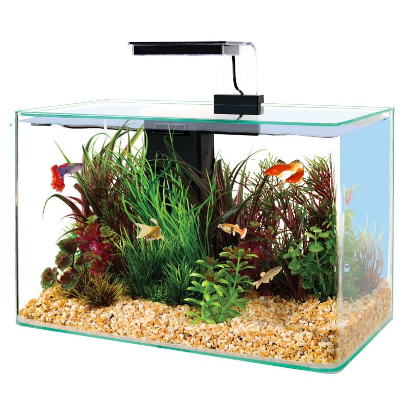 Aquarium Fresh 40 LED Gris 20L avec Kit de Filtration + Éclairage