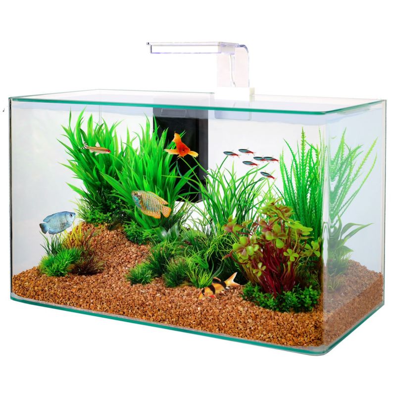 Zolux aquarium kit Aqua Clear 50 (500 x 250 x 380 mm) 32 litres 115