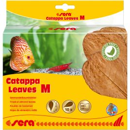 Sera Catappa Leaves M 16 – 20 cm 10 pces 9,50 €