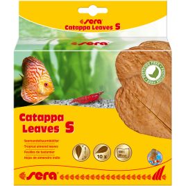 Sera Catappa Leaves S 10 – 15 cm 10 pces 6,90 €