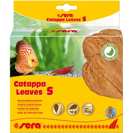 Sera Catappa Leaves 10 pces