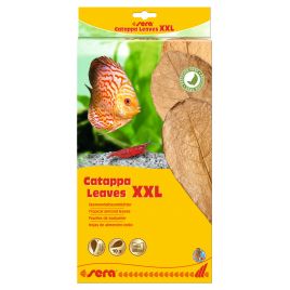 Sera Catappa Leaves XXL 30 – 35 cm 10 pces 11,40 €