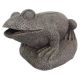SuperFish grenouille mini filtre décorative 79,20 €