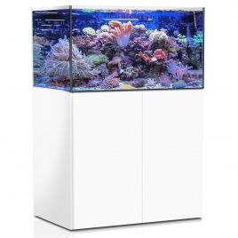 AquaMedic Armatus 375 XD blanc complet avec système de filtration + 146.90€ en bon d'achats coraux,poissons. 