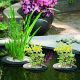 Velda Floating plant island diamètre 35cm 16,95 €
