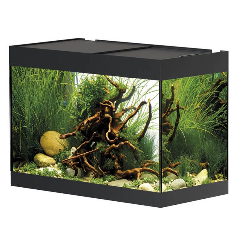 Aquariums Oase Oase StyleLine 125 Aquarium black + éclairage led