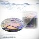 Aqua Medic food pipe station d'alimentation pour aquariums 14,10 €