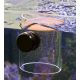 Aqua Medic food pipe station d'alimentation pour aquariums 14,10 €