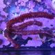  Plexaurella nutans - Gorgone (10-15 cm)