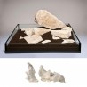 Pierre Ice Rock (S050) le Kg