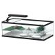 Aquatlantis tortum 55 cuve à tortues dimension (cm) 55x30x20 couleur noir (sans éclairage et filtre) 49,00 €