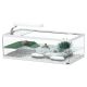 Aquatlantis tortum 55 cuve à tortues dimension (cm) 55x30x20 couleur blanc (sans éclairage et filtre) 43,95 €