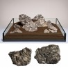 Pierre Black Snailstone (S062) le Kg