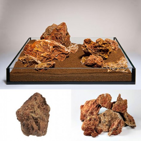 Pierre Mapple Leaf rock (S049) le Kg 3,80 €