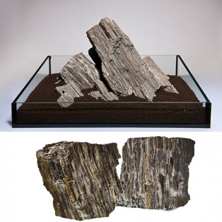 Pierre Glimmer wood rock (s041) le Kg 3,00 €