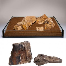 Pierre Bois fossile S043 / kg