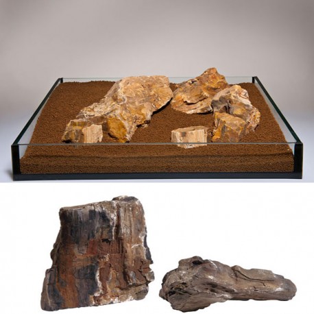 Pierre Bois fossile S043 / kg 3,80 €