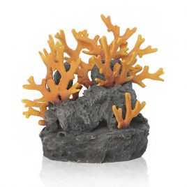 biOrb Roche volcanique avec corail rouge 47,95 €