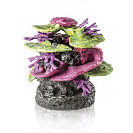 biOrb orn. récif de corail vert violet 93,95 €