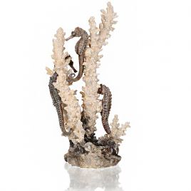 biOrb Hypocampes sur corail naturel M 74,95 €