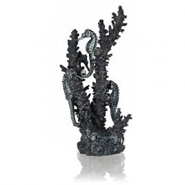 biOrb Hypocampes sur corail noir M 74,95 €