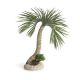 biOrb palmier Seychelles L 69,95 €
