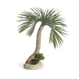 biOrb palmier Seychelles L 69,95 €