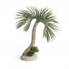biOrb palmier Seychelles L