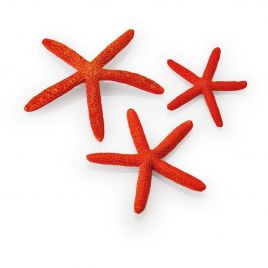 biOrb Set de 3 étoiles de mer rouges 12,95 €